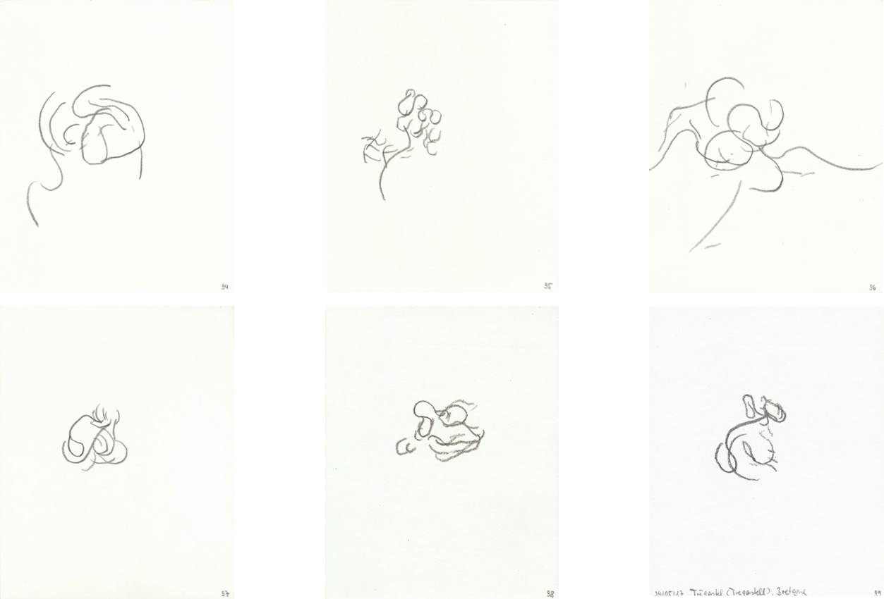 Wattwurmhaufen 94 bis 99 web