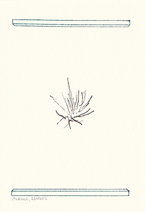 2017_07_23 2 mettlach kl